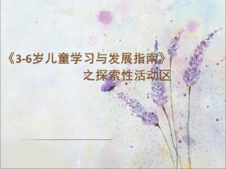 探索性活动区的解读