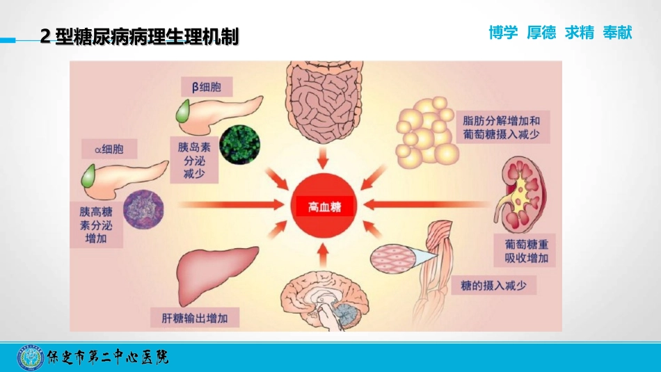 糖尿病口服药物_第3页