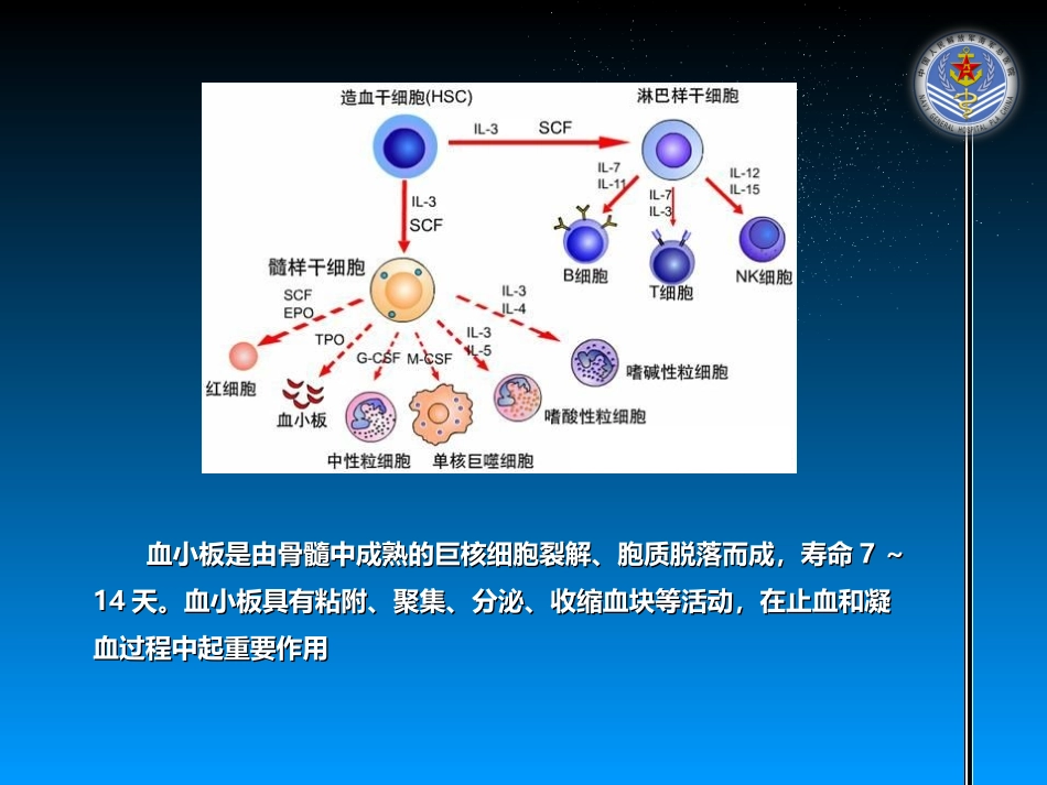 特比澳治疗实体瘤化疗后病例分享_第2页