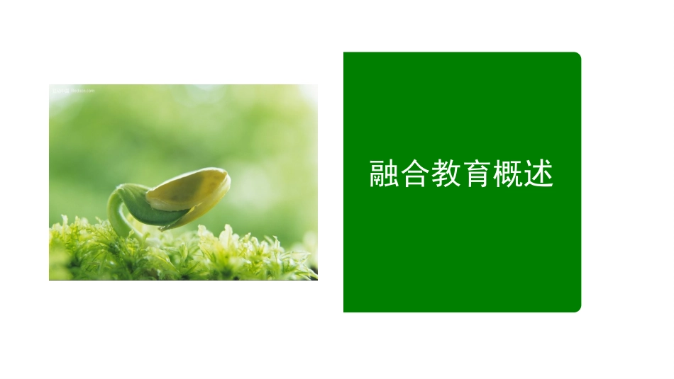 特殊儿童教育融合教育概述_第1页