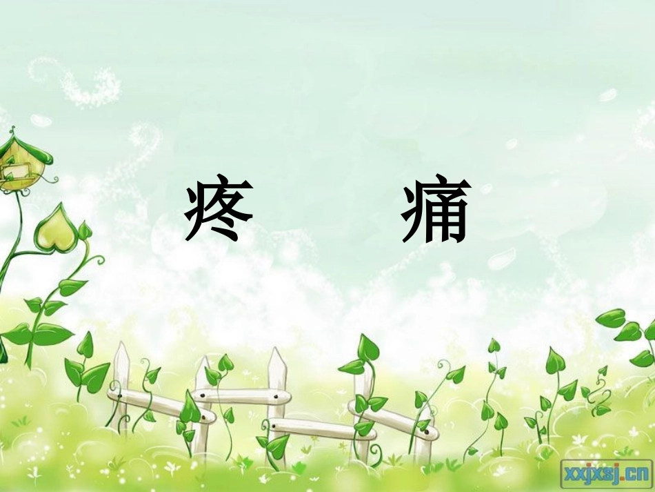 疼痛护理系列_第1页