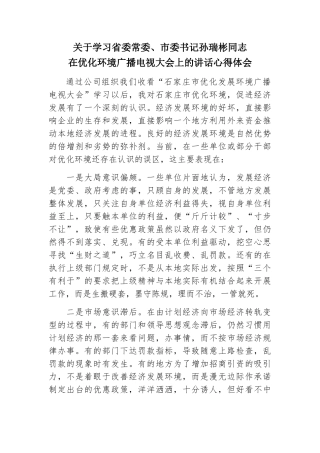 关于学习省委常委、市委书记孙瑞彬同志在优化环境广播电视大会上的讲话心得体会2
