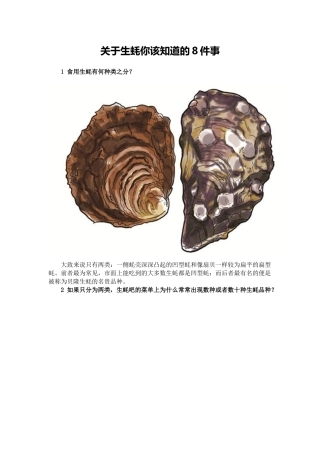 关于生蚝你该知道的8件事