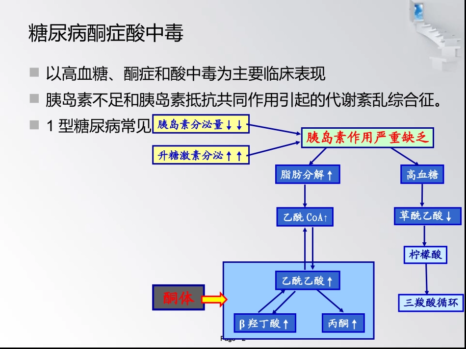 酮症酸中毒和高渗高糖综合征_第2页