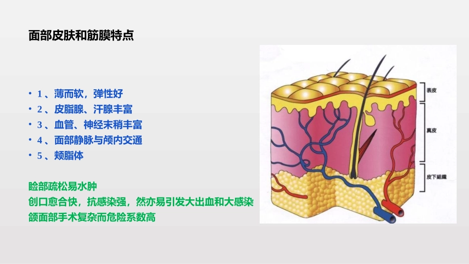 头颈部肌肉结构局部解剖_第2页