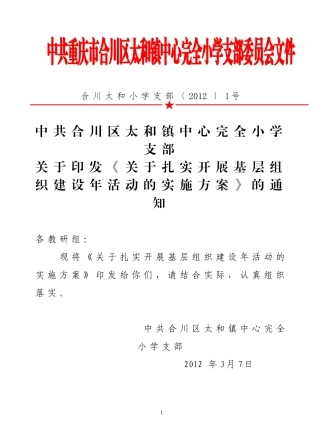 《扎实开展基层组织建设年活动的实施方案》的通知