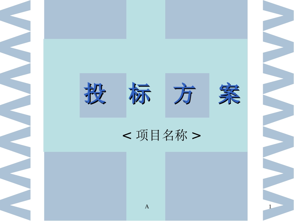 投标方案模板_第1页