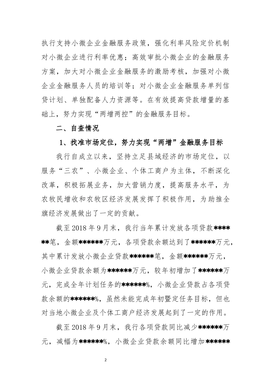 关于小微企业金融服务情况的报告模板_第2页