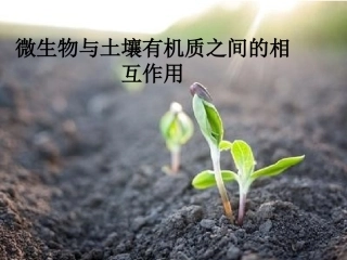 土壤微生物和有机质