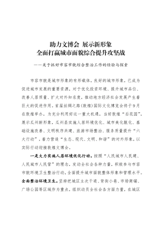 关于抓好市容市貌综合整治工作的经验与探索