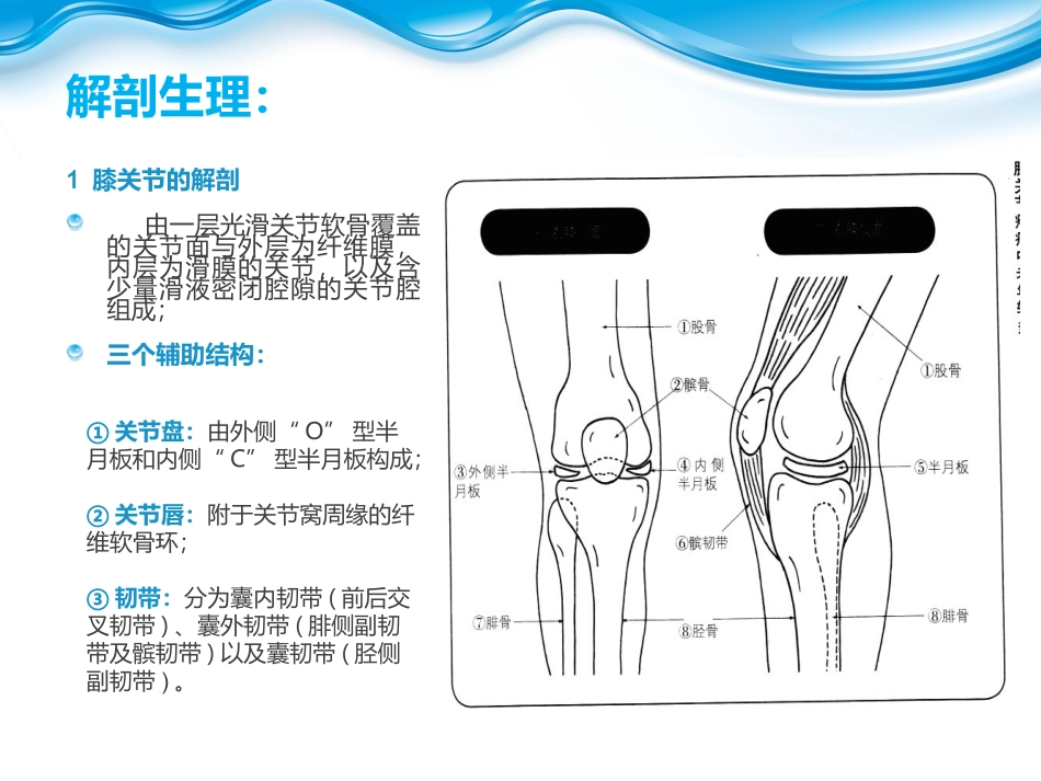 退行性膝关节病变_第3页