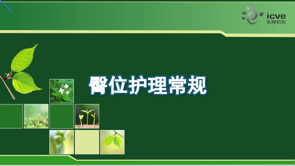 臀位护理常规_第1页