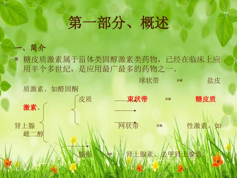 外用药糖皮质激素_第2页