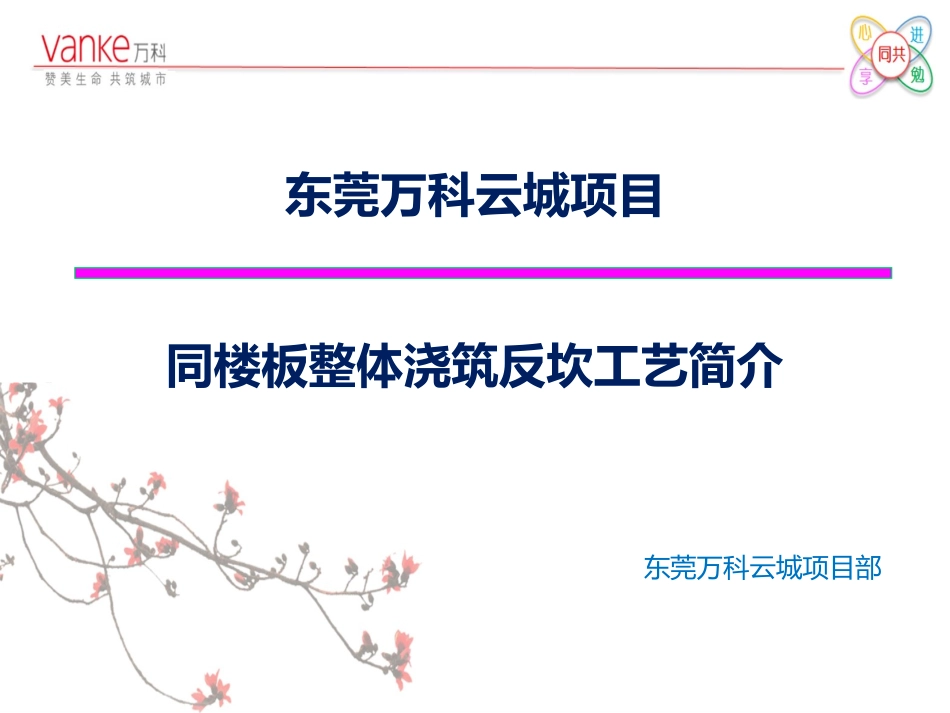 万科云广场一区同楼板浇筑反坎简介_第1页