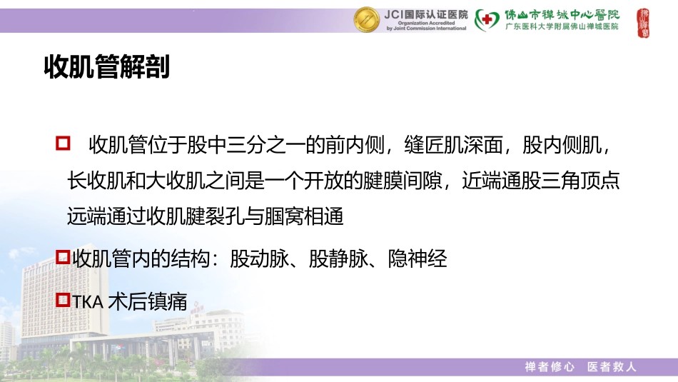 王美容收肌管神经阻滞_第3页