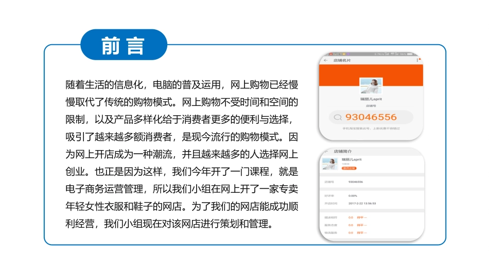 网店运营策划书_第3页