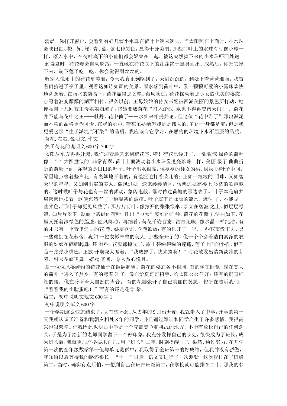 关于网购的作文600字4篇_第2页