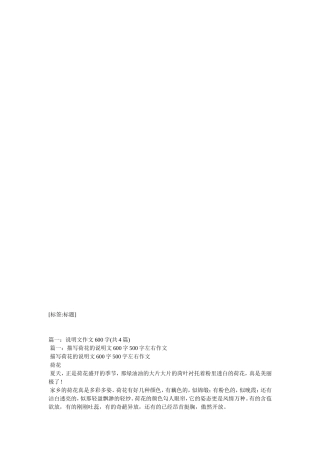 关于网购的作文600字4篇