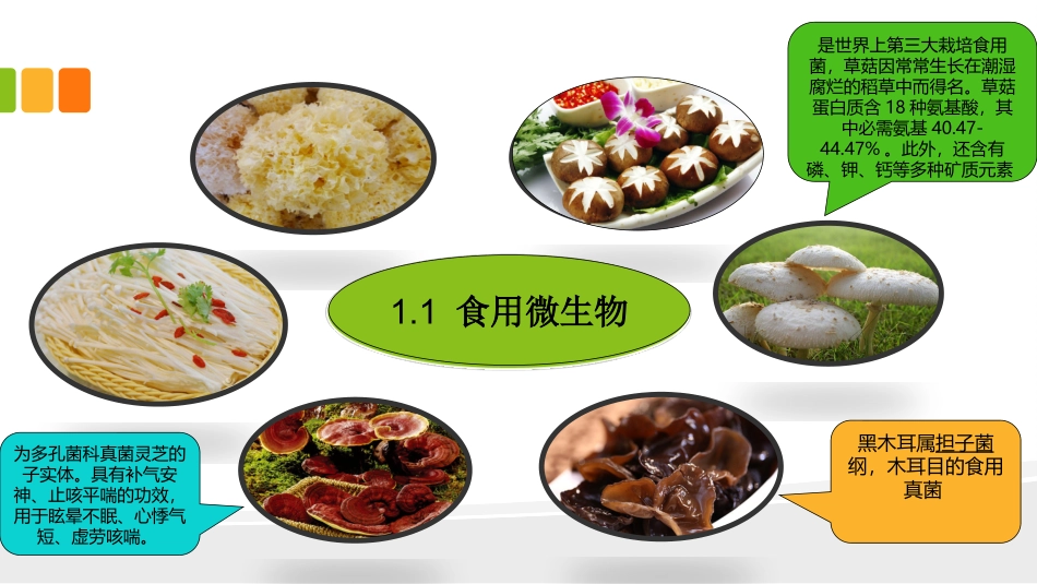 微生物和食品的关系_第3页