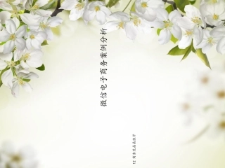 微信电子商务案例分析