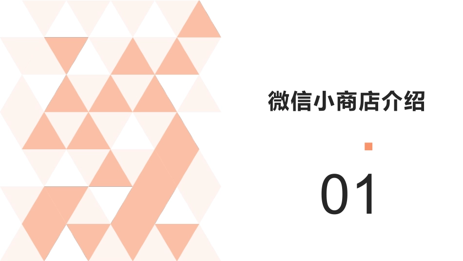 微信小商店介绍_第2页