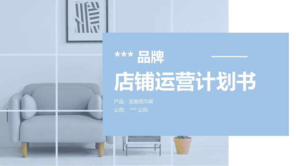 卫浴用品类目纸巾架产品店铺天猫入驻运营计划书参考_第1页