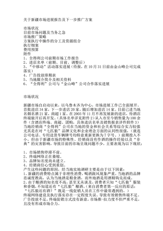 关于新疆市场进展报告及下一步推广方案