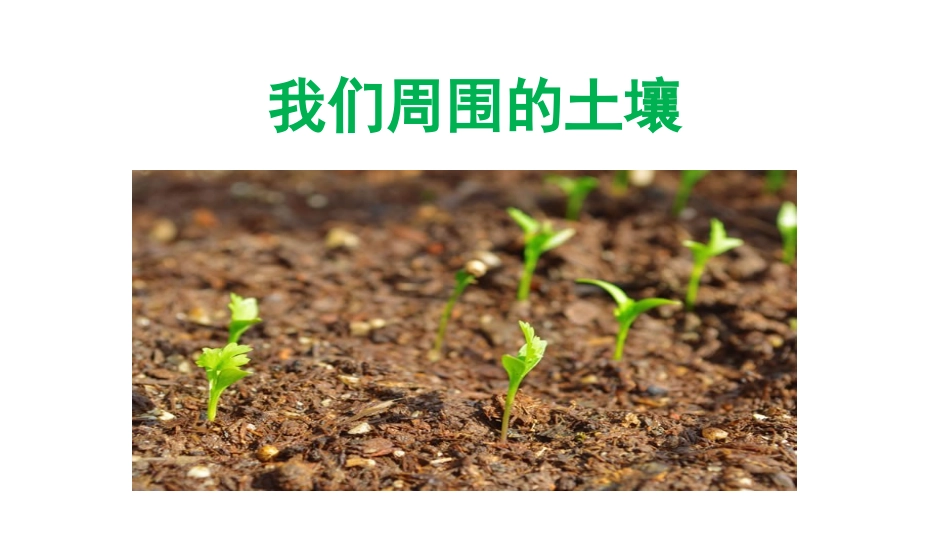 我们周围的土壤_第1页