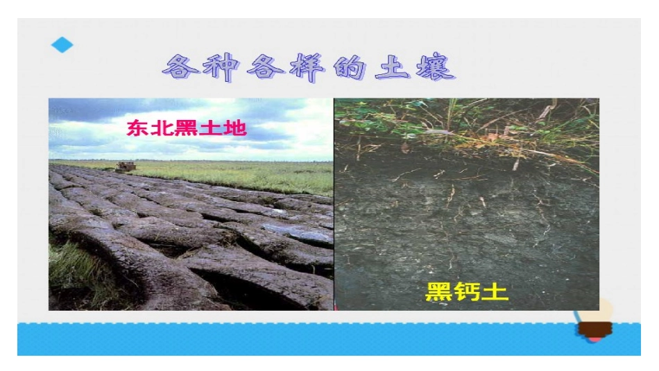 我们周围的土壤_第2页