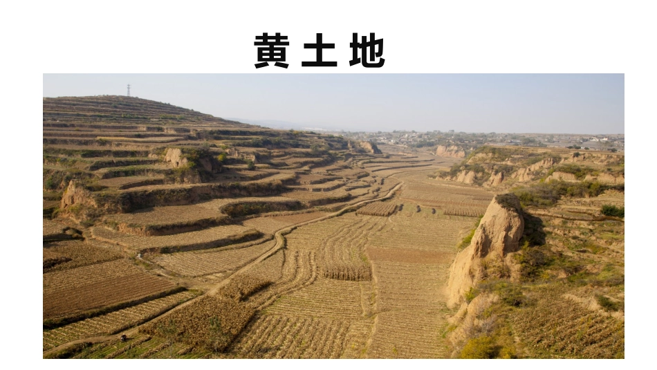 我们周围的土壤_第3页