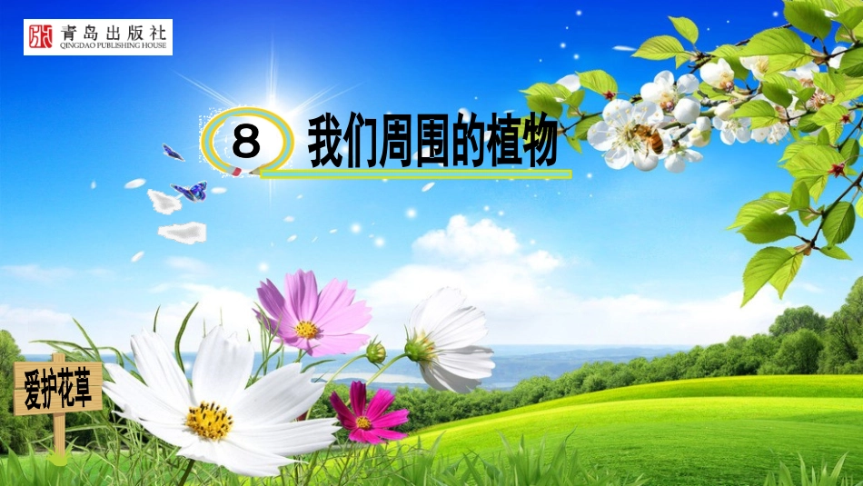 我们周围的植物_第1页