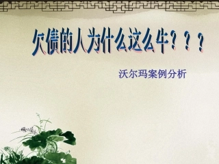 沃尔玛财务分析