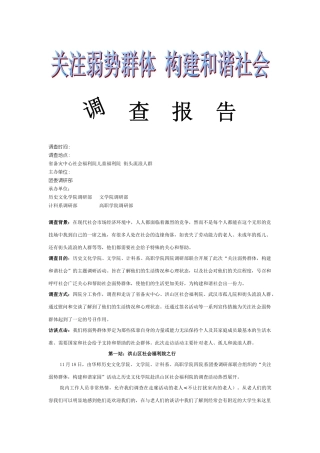 关注弱势群体-构建和谐社会调查分析方案