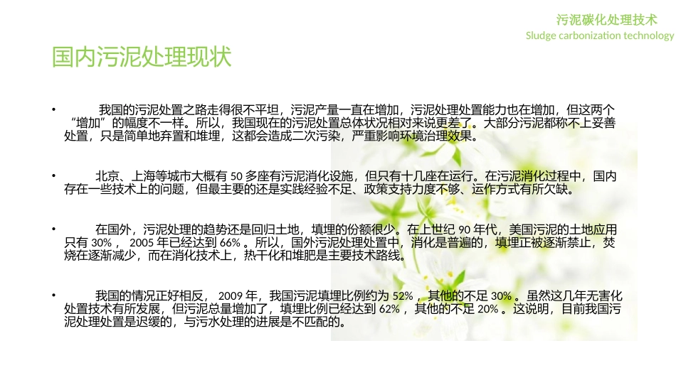 污泥炭化处置专题培训课件_第2页