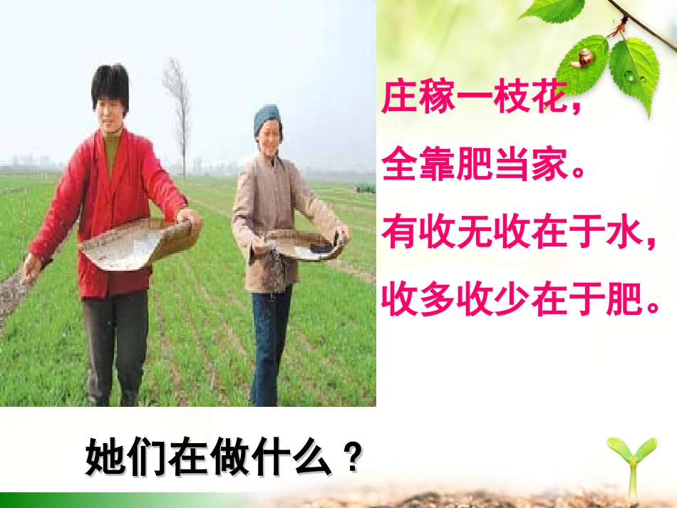 无机盐对植物的生长_第2页