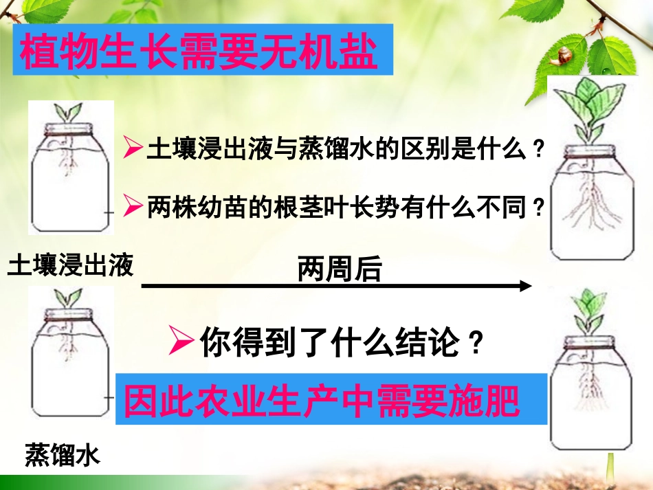 无机盐对植物的生长_第3页