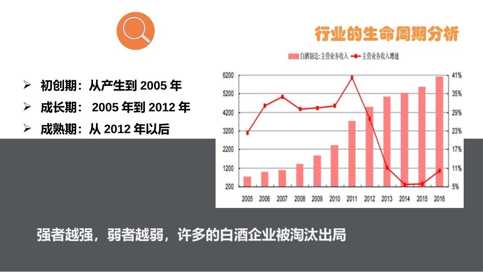 五粮液财务分析_第3页