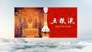 五粮液财务分析