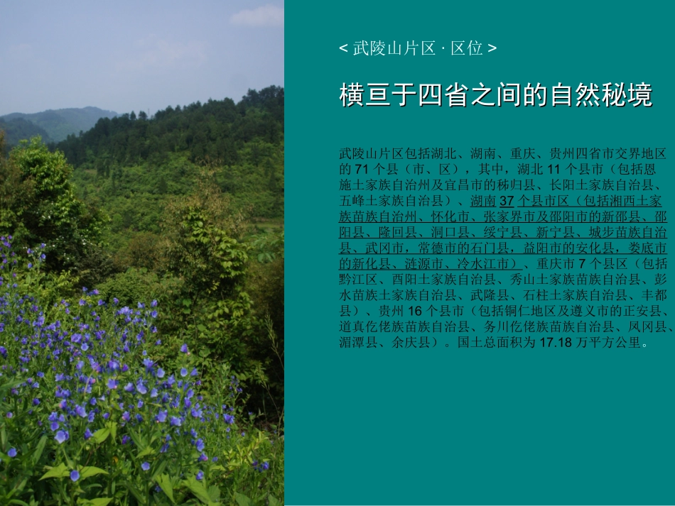 武陵山片区旅游产业调查报告_第2页