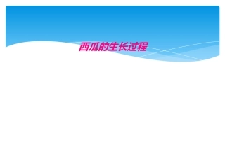 西瓜的生长过程