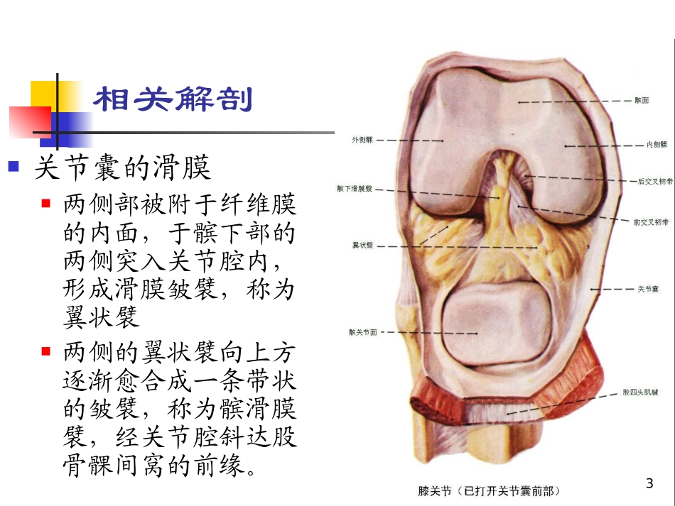 膝关节滑膜皱襞综合征课件_第3页