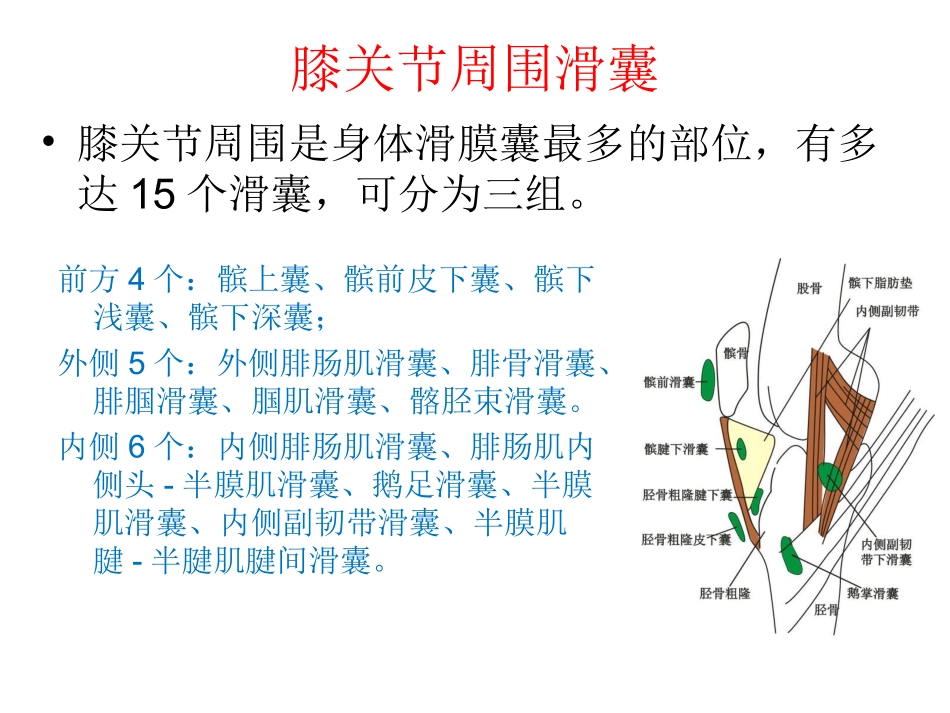 膝关节周围滑囊炎zqp_第3页
