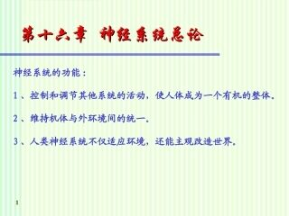 系统解剖学神经系统总论