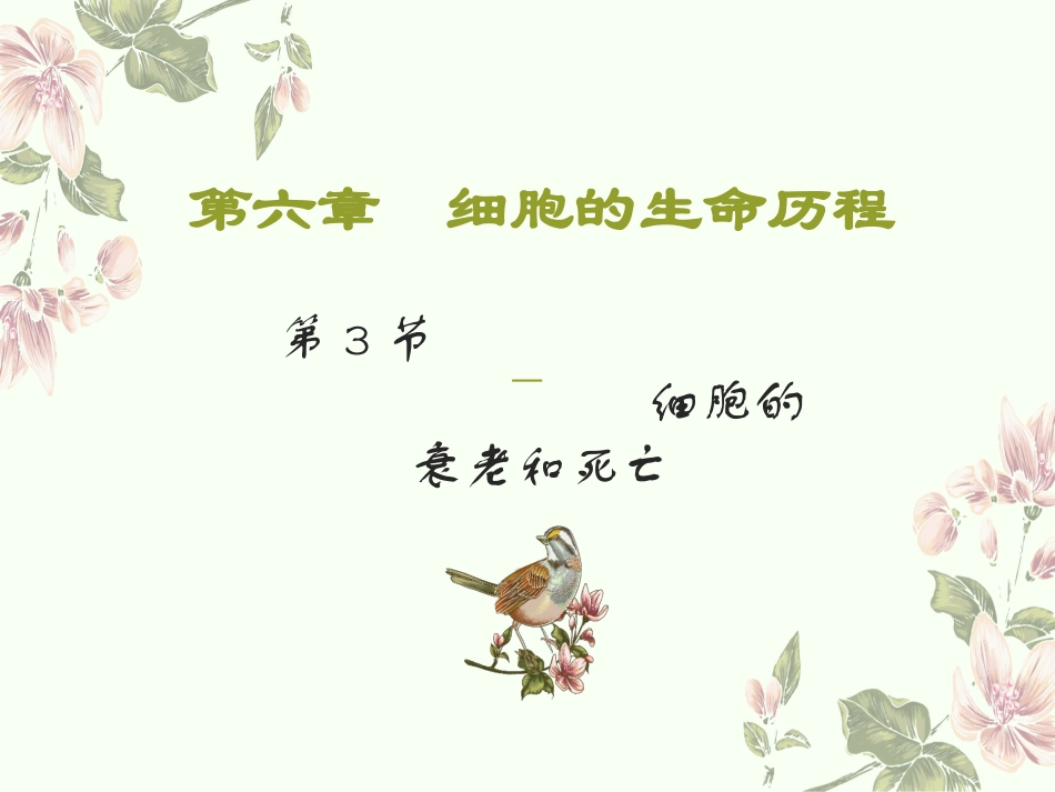 细胞的衰老和死亡_第1页