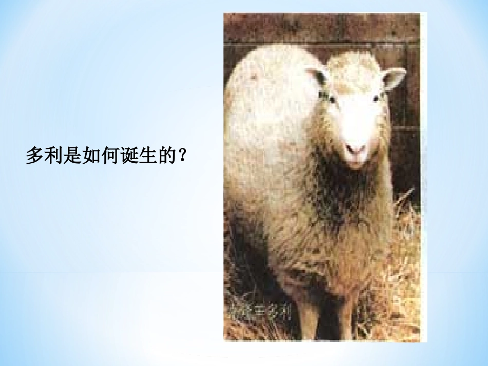 细胞核移植技术_第2页
