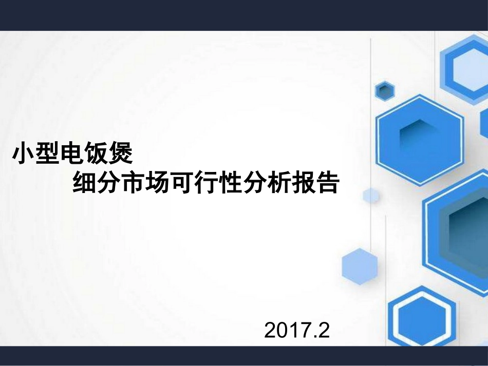 细分市场数据小型电饭煲市场可行性分析报告_第1页