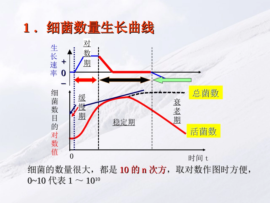 细菌的生长特性_第2页