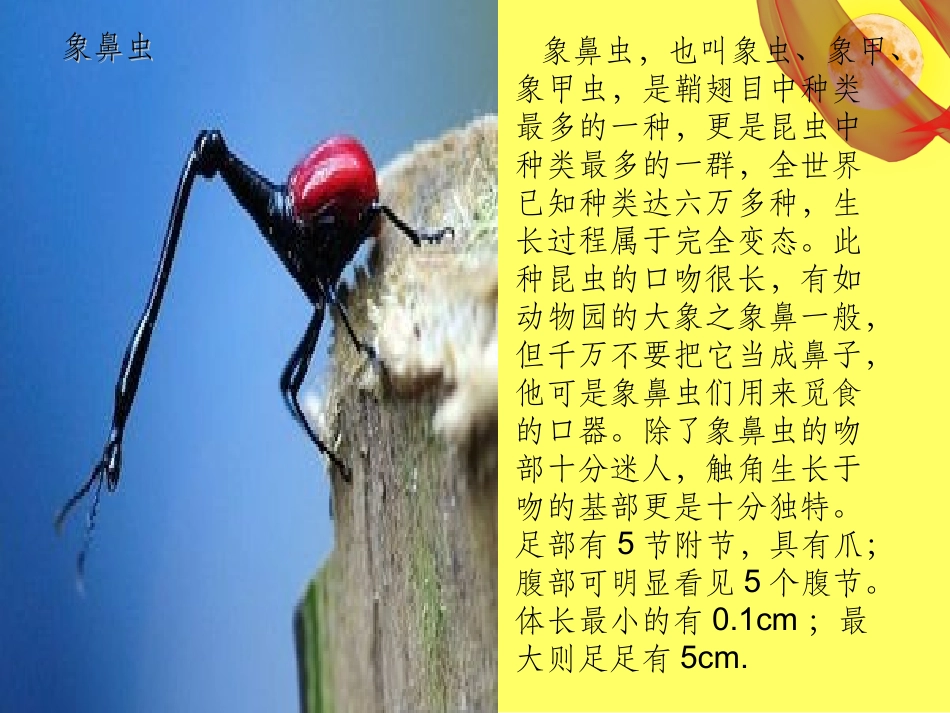 细菌世界历险记_第3页