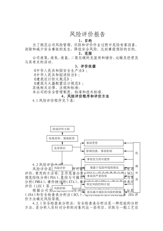 化工厂风险评价报告