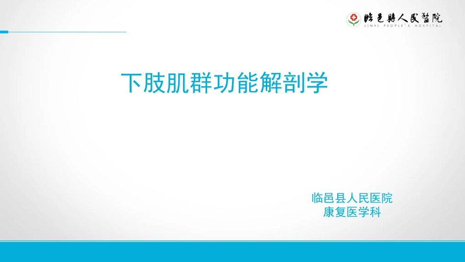 下肢肌群功能解剖学_第1页